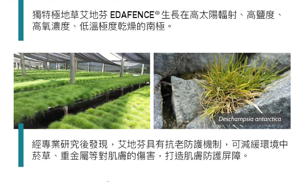 杜克 新A醇極緻賦活霜